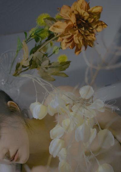 《反恐特战队之猎影》电视剧_BD在线观看电视